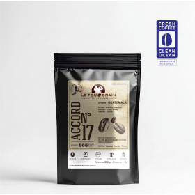 Guatemala - Accord N°16