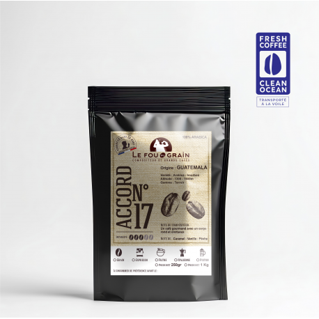 Guatemala - Accord N°16